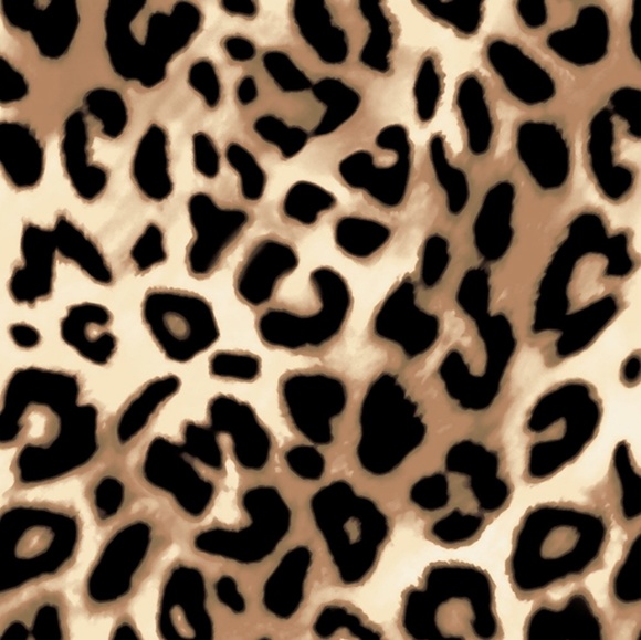 Meet your Posher, SD founder of lushesty - Picture 1 of 1